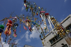 DSC08697.JPG